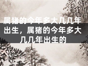 属猪的今年多大几几年出生，属猪的今年多大几几年出生的