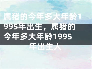 属猪的今年多大年龄1995年出生，属猪的今年多大年龄1995年出生人
