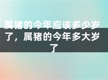 属猪的今年应该多少岁了，属猪的今年多大岁了