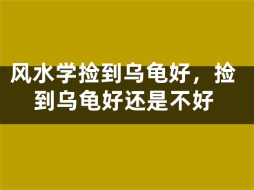 风水学捡到乌龟好，捡到乌龟好还是不好