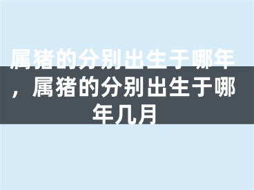 属猪的分别出生于哪年，属猪的分别出生于哪年几月