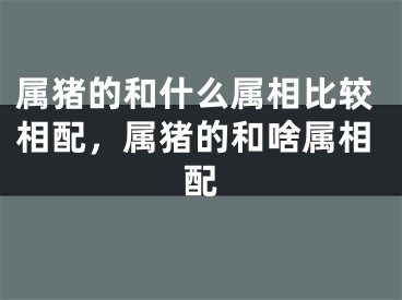 属猪的和什么属相比较相配，属猪的和啥属相配