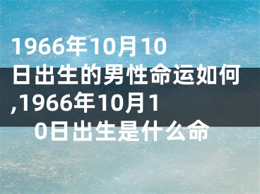 1966年10月10日出生的男性命运如何,1966年10月10日出生是什么命