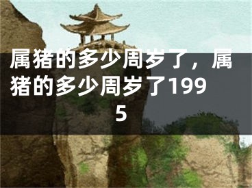 属猪的多少周岁了，属猪的多少周岁了1995