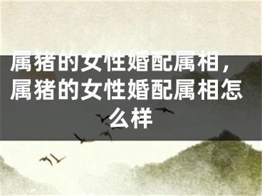 属猪的女性婚配属相，属猪的女性婚配属相怎么样