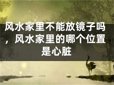 风水家里不能放镜子吗，风水家里的哪个位置是心脏