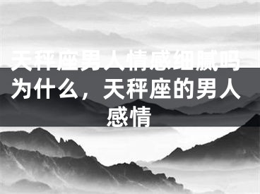 天秤座男人情感细腻吗为什么，天秤座的男人感情