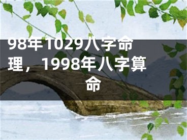 98年1029八字命理,1998年八字算命