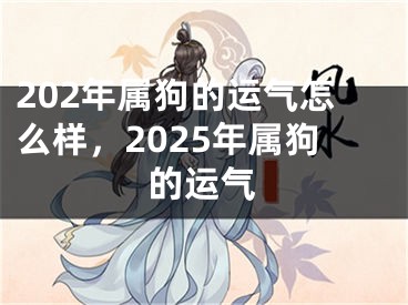 202年属狗的运气怎么样，2025年属狗的运气