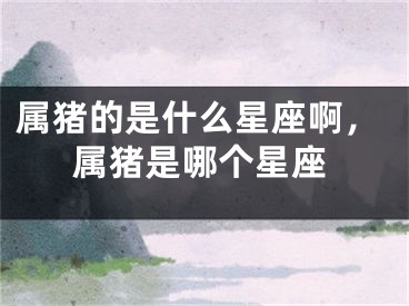属猪的是什么星座啊，属猪是哪个星座