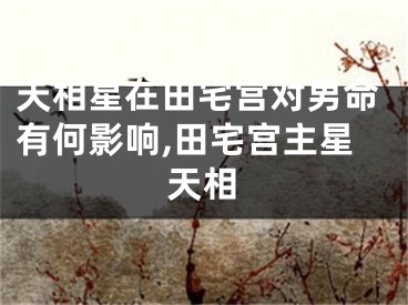 天相星在田宅宫对男命有何影响,田宅宫主星天相