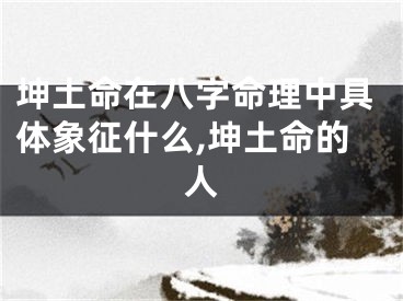 坤土命在八字命理中具体象征什么,坤土命的人