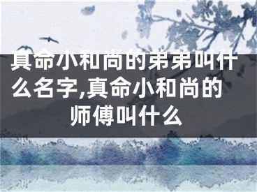 真命小和尚的弟弟叫什么名字,真命小和尚的师傅叫什么