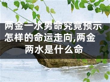 两金一水男命究竟预示怎样的命运走向,两金两水是什么命