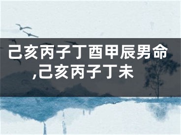 己亥丙子丁酉甲辰男命,己亥丙子丁未