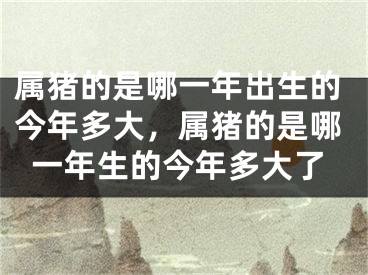 属猪的是哪一年出生的今年多大，属猪的是哪一年生的今年多大了