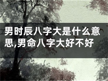 男时辰八字大是什么意思,男命八字大好不好