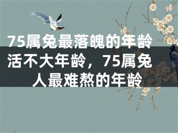 75属兔最落魄的年龄活不大年龄，75属兔人最难熬的年龄