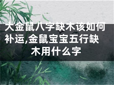 大金鼠八字缺木该如何补运,金鼠宝宝五行缺木用什么字