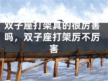 双子座打架真的很厉害吗，双子座打架厉不厉害
