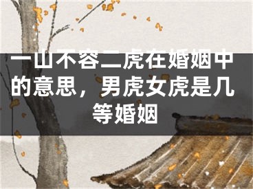 一山不容二虎在婚姻中的意思,男虎女虎是几等婚姻