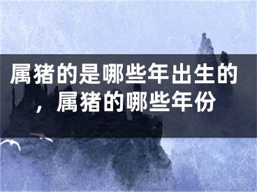 属猪的是哪些年出生的，属猪的哪些年份