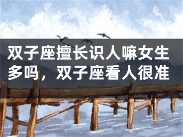 双子座擅长识人嘛女生多吗,双子座看人很准