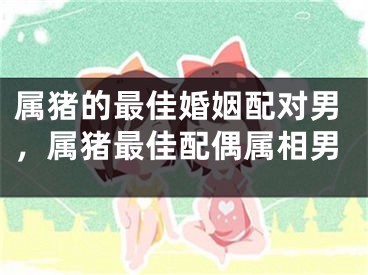 属猪的最佳婚姻配对男,属猪最佳配偶属相男
