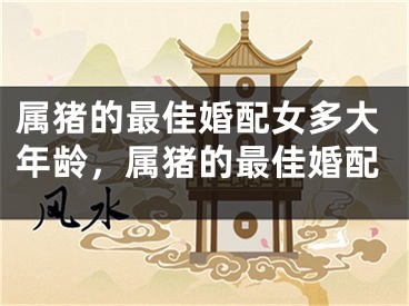 属猪的最佳婚配女多大年龄，属猪的最佳婚配