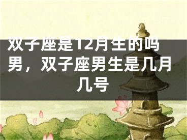 双子座是12月生的吗男，双子座男生是几月几号