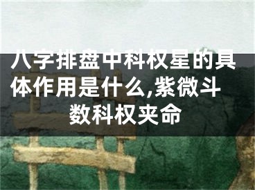 八字排盘中科权星的具体作用是什么,紫微斗数科权夹命