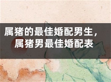 属猪的最佳婚配男生，属猪男最佳婚配表