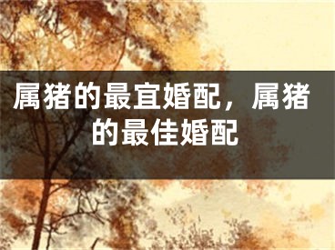 属猪的最宜婚配，属猪的最佳婚配