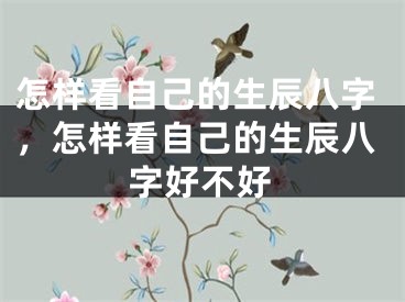 怎样看自己的生辰八字,怎样看自己的生辰八字好不好