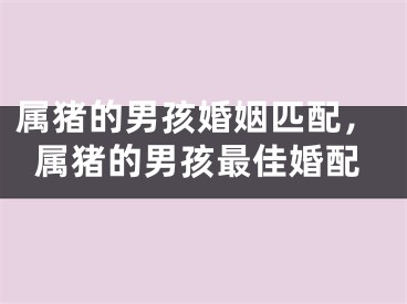 属猪的男孩婚姻匹配，属猪的男孩最佳婚配