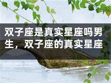 双子座是真实星座吗男生,双子座的真实星座
