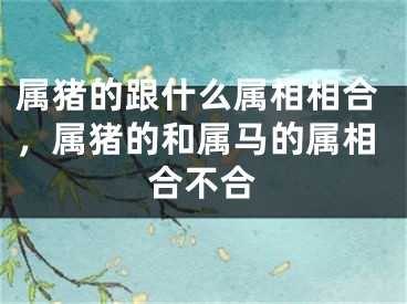 属猪的跟什么属相相合，属猪的和属马的属相合不合