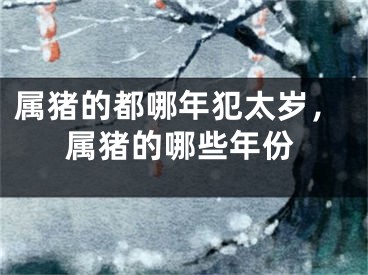 属猪的都哪年犯太岁，属猪的哪些年份