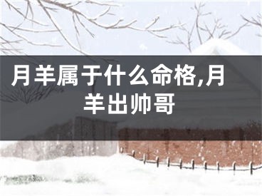 月羊属于什么命格,月羊出帅哥