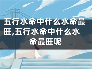 五行水命中什么水命最旺,五行水命中什么水命最旺呢