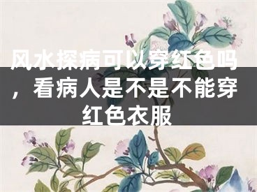 风水探病可以穿红色吗，看病人是不是不能穿红色衣服