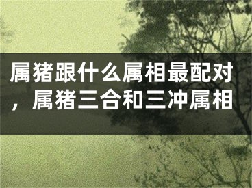 属猪跟什么属相最配对，属猪三合和三冲属相