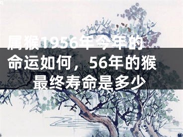 属猴1956年今年的命运如何,56年的猴最终寿命是多少