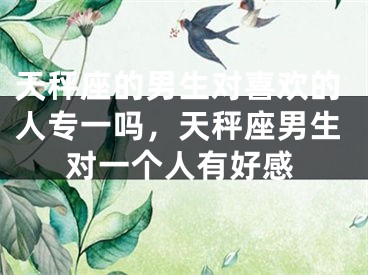 天秤座的男生对喜欢的人专一吗,天秤座男生对一个人有好感