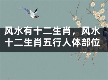 风水有十二生肖，风水十二生肖五行人体部位