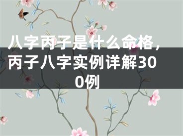八字丙子是什么命格，丙子八字实例详解300例