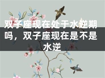双子座现在处于水逆期吗，双子座现在是不是水逆