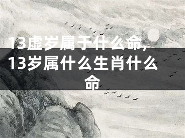 13虚岁属于什么命,13岁属什么生肖什么命