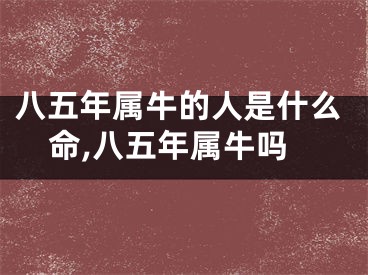 八五年属牛的人是什么命,八五年属牛吗