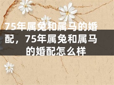75年属兔和属马的婚配，75年属兔和属马的婚配怎么样